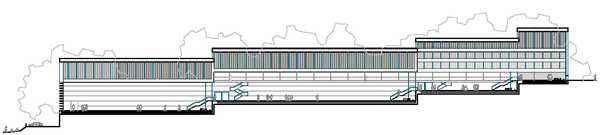 seccion longitudinal